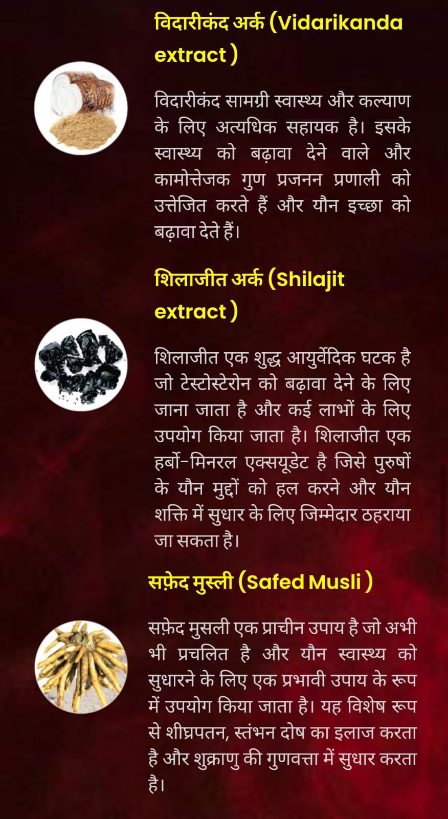 WhatsApp Image 2025-01-17 at 3.12.33 PM